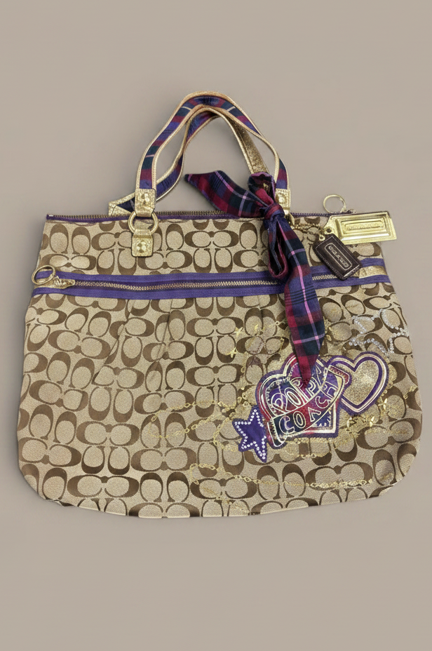 rare 2000s era poppy coach bag